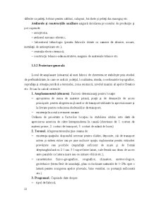 Industrializarea Primară a Lemnului - Pagina 48