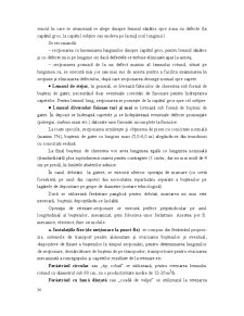 Industrializarea Primară a Lemnului - Pagina 62