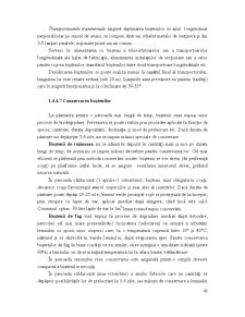 Industrializarea Primară a Lemnului - Pagina 69