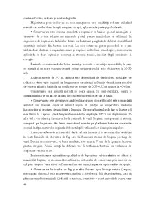 Industrializarea Primară a Lemnului - Pagina 70
