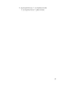 Industrializarea Primară a Lemnului - Pagina 95