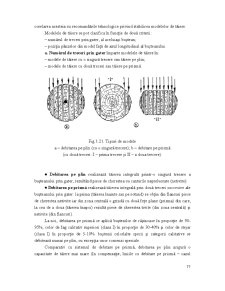 Industrializarea Primară a Lemnului - Pagina 103