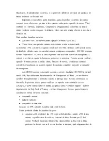 Sistemul Informatic de Rezervare Amadeus - Pagina 3