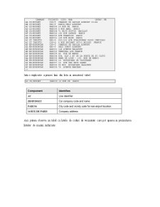 Sistemul Informatic de Rezervare Amadeus - Pagina 5