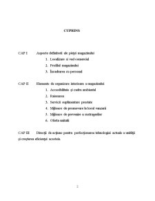 Analiza Diagnostic a Tehnologiei unei Unități Comerciale în Funcțiune - Pagina 2