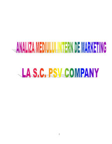 Analiza Mediului Intern de Marketing la SC PSV Company - Pagina 2