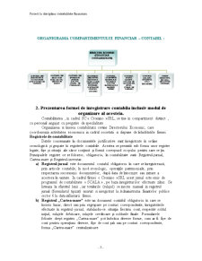 Contabilitate Financiara - Cromino SRL - Pagina 3