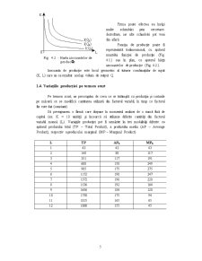 Intreprinderea, orizonturi decizionale și analiza variațiilor de producție - Pagina 5