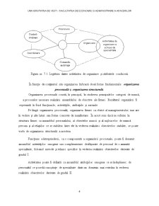 Organizarea procesuală - funcțiunile întreprinderii - Pagina 4