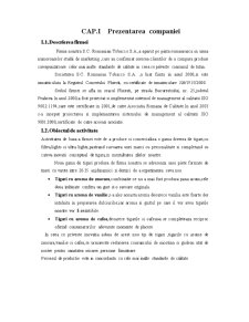 Internaționalizarea firmei SC Romanian Tobacco SA - Pagina 1