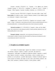 Analiza Sistemului Logistic - SC Otelinox SA - Pagina 3
