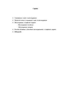 Modalități de evitare a contaminării cărnii cu microorganisme - Pagina 2