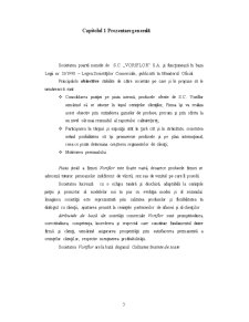 Analiza și Dezvoltarea SC Voriflor SA - Pagina 3