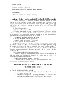 Sistemul de Management Integrat de Mediu al Firmei SC Salubris SA - Pagina 4