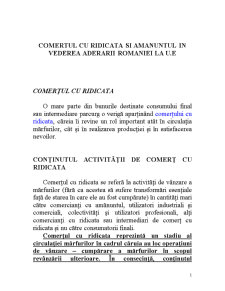 Comerțul cu ridicata și amănuntul în vederea aderării României la UE - Pagina 1