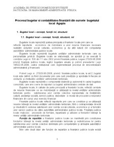 Lucrare practică - bazele contabilității bugetare - local Agapia - Pagina 3