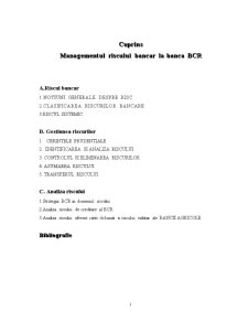 Managementul Riscului Bancar la Banca BCR - Pagina 1