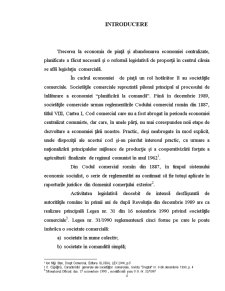 Regimul juridic al societăților cu răspundere limitată în România - Pagina 4