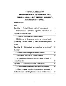 Controlului financiar privind cheltuielile și veniturile unui agent economic - SNP Petrom București, sucursala Peco Brăila - Pagina 1