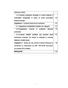 Controlului Financiar Privind Cheltuielile si Veniturile unui Agent Economic – SNP Petrom Bucuresti, Sucursala Peco Braila - Pagina 2