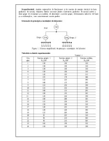 Studiul Graficilor de Sarcină Electrică - Pagina 1