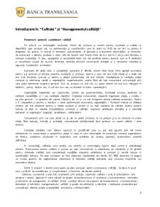 Managementul calității - Banca Transilvania - Pagina 3