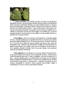 Patologie - Bolile Zmeurului și Murului - Pagina 5