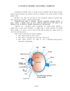 Soluții oftalmice oculoguttae - Pagina 5