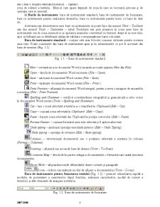 Laboratoare Microsoft Word - Pagina 4