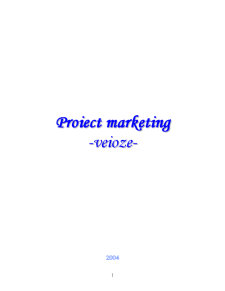 Proiect marketing - firmă veioze - SC Light On SA - Pagina 1