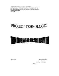 Tehnologia Fabricarii Halvitei - Pagina 1