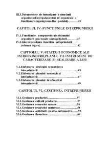 Întreprinderea în mediul competitiv - studiu de caz realizat la Egea Prod SRL - Pagina 3