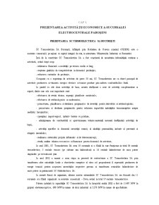 Analiza rentabilității riscului și echilibrului financiar la SC Termoprest SA Paroșeni - Pagina 1