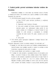 Analiză privind activitatea băncilor străine în România - Pagina 3