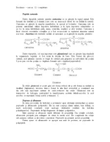 Biochimie Semestrul 1 - Pagina 5