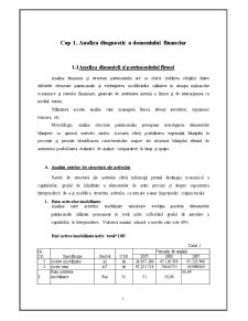 Analiza Diagnostic la SC Boromir Prod SRL - Pagina 1