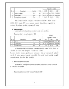Analiza Diagnostic la SC Boromir Prod SRL - Pagina 4