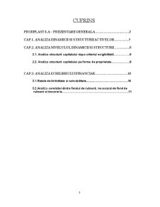 Analiza poziției financiare a SC Prodplast SA - Pagina 2