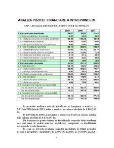 Analiza poziției financiare a SC Prodplast SA - Pagina 5
