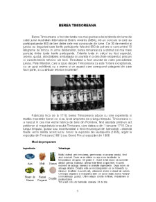 Managementul procesării produselor agroalimentare - berea - Pagina 4