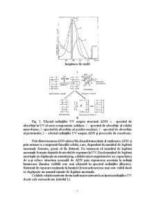 Studiul tehnico-economic al Conservării unor Produse Agroalimentare prin Procedeul Radiațiilor UV - Pagina 5