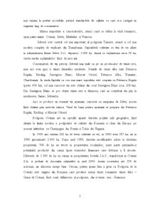 Plan de Afacere - SC Vincon Vrancea SA - Pagina 2