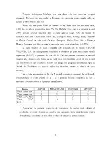 Plan de Afacere - SC Vincon Vrancea SA - Pagina 3
