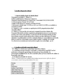 Studiu de Fezabilitate - SC Miraj SA - Pagina 1