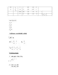 Rezolvarea unei probleme de programare lineară - Pagina 4