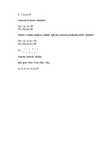 Rezolvarea unei probleme de programare lineară - Pagina 5