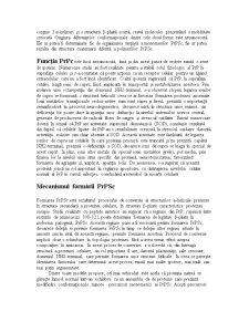 Etiologia Maladiilor Prionice - Pagina 4