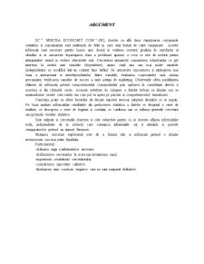Cercetare de Marketing la SC Mircea Economy SRL - Pagina 1