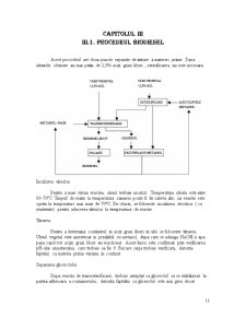 Procedee de obținere a biodieselului - Pagina 1