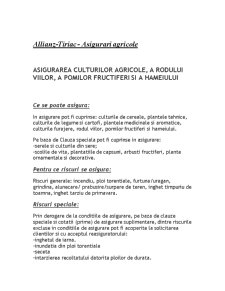 Allianz-Tiriac - asigurări agricole asigurarea culturilor agricole, a rodului viilor, a pomilor fructiferi și a hameiului - Pagina 3